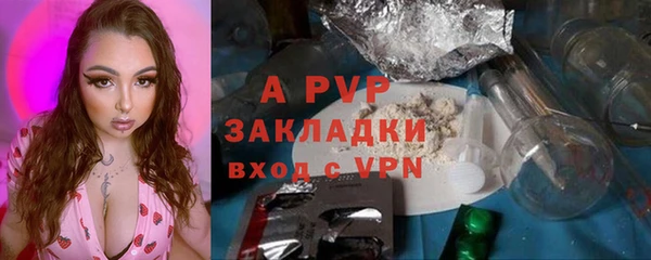 крисы Армянск