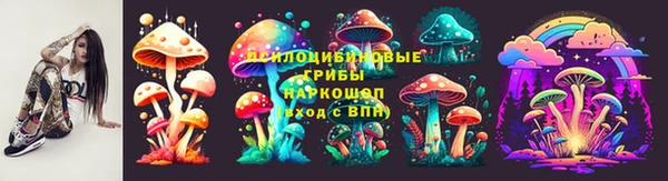 дурь Арсеньев