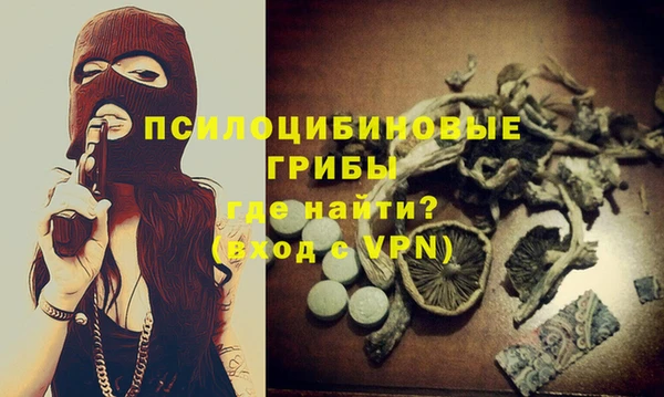 дурь Арсеньев