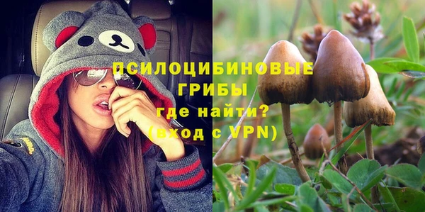 дурь Арсеньев
