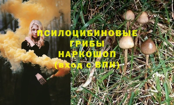 дурь Арсеньев