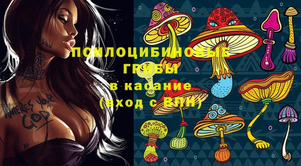 дурь Арсеньев