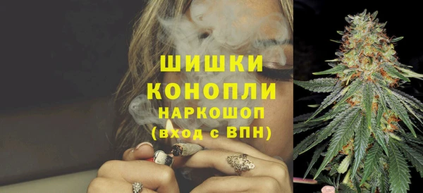 дурь Арсеньев