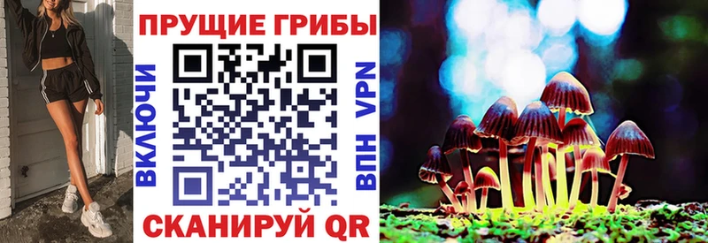 закладки  маркетплейс какой сайт  Псилоцибиновые грибы MAGIC MUSHROOMS  Рыльск 